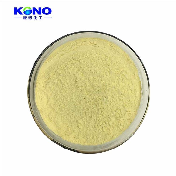 Beta Glucan Powder CAS 9012-72-0
